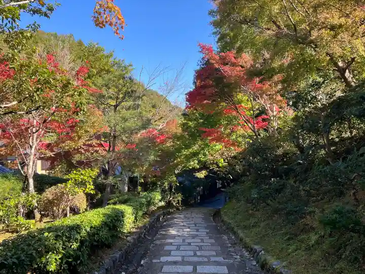 化野念仏寺(京都府)