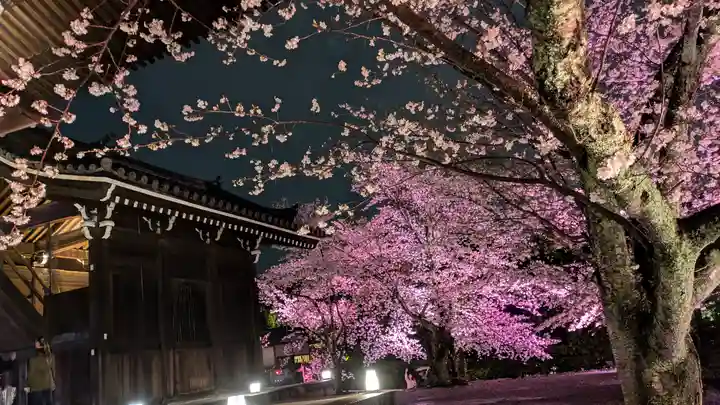知恩院(京都府)