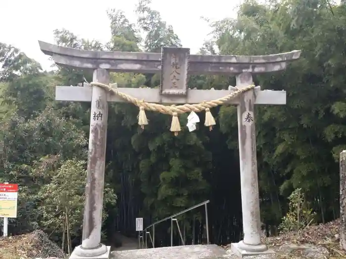 神龍八大龍王神社の鳥居