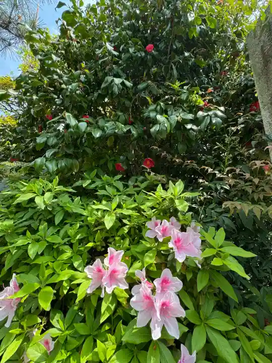 開闡寺の{uncategorized: "未分類", other: "その他", undefined: "問題あり", building: "その他建物", grave: "お墓", sacred_gate: "鳥居", guardian: "狛犬", statue: "像", buddha: "仏像", history: "歴史", nature: "自然", garden: "庭園", animal: "動物", pagoda: "塔", temizu: "手水舎", mountain_gate: "山門・神門", sanctuary: "本殿・本堂", subordinate: "末社・摂社", art: "芸術", scenery: "景色", jizo: "地蔵", ema: "絵馬", goshuin: "御朱印", omikuji: "おみくじ", items: "授与品その他", amulet: "お守り", goshuincho: "御朱印帳", eats: "食事", festival: "お祭り", votive_dance: "神楽", shichigosan: "七五三参", wedding: "結婚式", experience: "体験その他", initially: "初詣", around: "周辺", anti_infection: "感染症対策"}