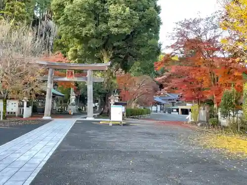 高麗神社の鳥居