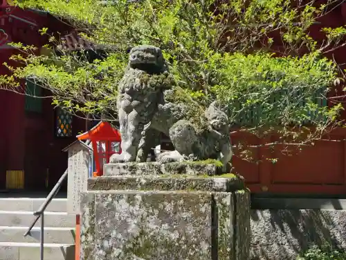 箱根神社の狛犬