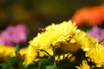 長谷寺(奈良県)