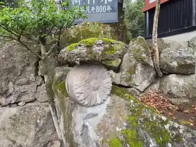 鹿児島神宮(鹿児島県)