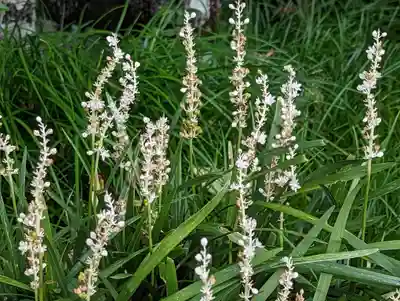 護国寺（山科檀林）(京都府)