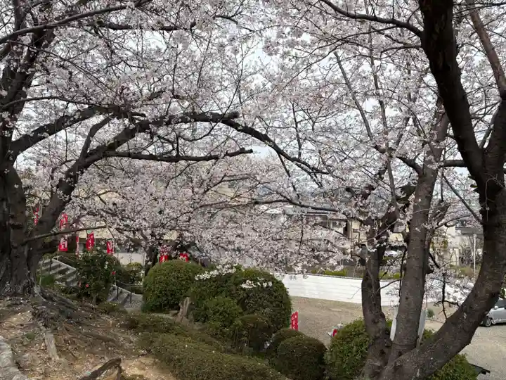 不動寺(大阪府)