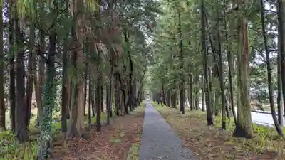 小村神社の景色