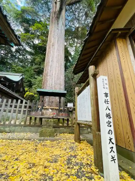 事任八幡宮(静岡県)
