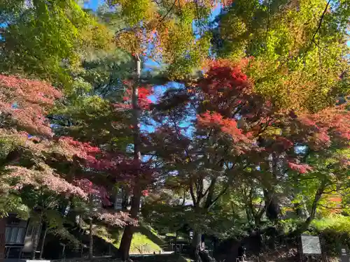 中尊寺の景色