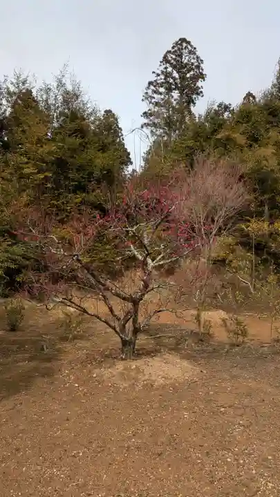 鹿苑寺(金閣寺)(京都府)