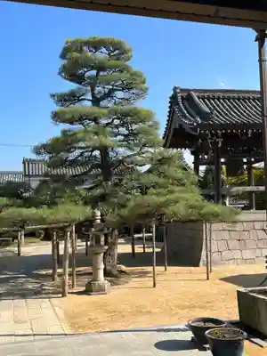 本福寺のその他建物