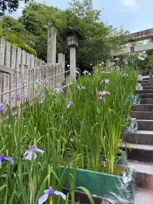 宮地嶽神社(福岡県)