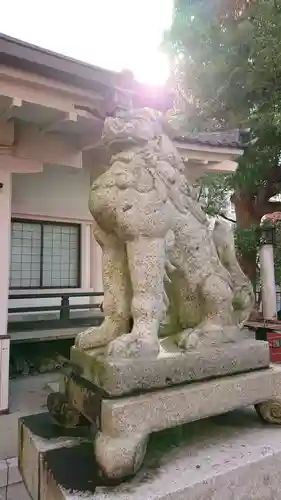 白山比咩神社の狛犬