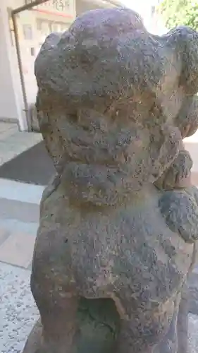 高輪神社の狛犬