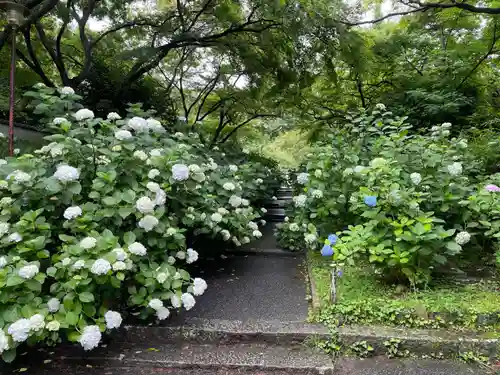 久安寺(大阪府)