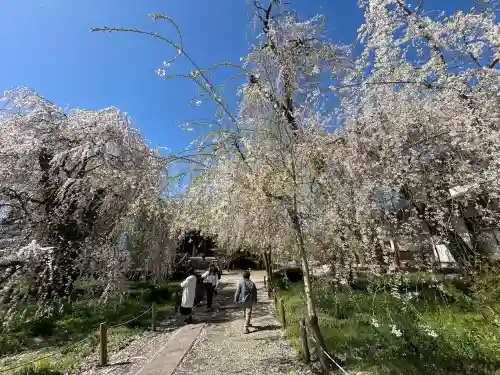 安養寺の{uncategorized: "未分類", other: "その他", undefined: "問題あり", building: "その他建物", grave: "お墓", sacred_gate: "鳥居", guardian: "狛犬", statue: "像", buddha: "仏像", history: "歴史", nature: "自然", garden: "庭園", animal: "動物", pagoda: "塔", temizu: "手水舎", mountain_gate: "山門・神門", sanctuary: "本殿・本堂", subordinate: "末社・摂社", art: "芸術", scenery: "景色", jizo: "地蔵", ema: "絵馬", goshuin: "御朱印", omikuji: "おみくじ", items: "授与品その他", amulet: "お守り", goshuincho: "御朱印帳", eats: "食事", festival: "お祭り", votive_dance: "神楽", shichigosan: "七五三参", wedding: "結婚式", experience: "体験その他", initially: "初詣", around: "周辺", anti_infection: "感染症対策"}