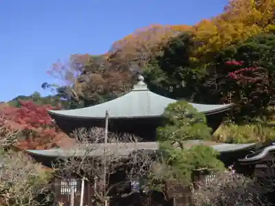 瑞泉寺の本殿・本堂