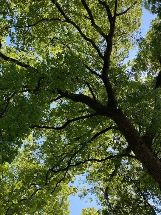 神足神社の自然