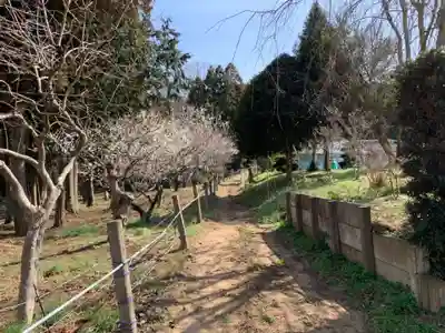 八幡神社のその他建物