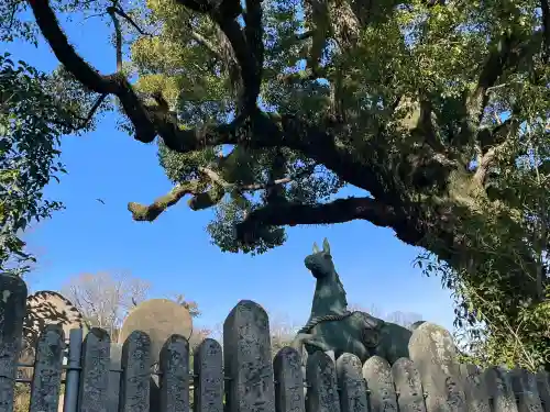 津田八幡神社の{uncategorized: "未分類", other: "その他", undefined: "問題あり", building: "その他建物", grave: "お墓", sacred_gate: "鳥居", guardian: "狛犬", statue: "像", buddha: "仏像", history: "歴史", nature: "自然", garden: "庭園", animal: "動物", pagoda: "塔", temizu: "手水舎", mountain_gate: "山門・神門", sanctuary: "本殿・本堂", subordinate: "末社・摂社", art: "芸術", scenery: "景色", jizo: "地蔵", ema: "絵馬", goshuin: "御朱印", omikuji: "おみくじ", items: "授与品その他", amulet: "お守り", goshuincho: "御朱印帳", eats: "食事", festival: "お祭り", votive_dance: "神楽", shichigosan: "七五三参", wedding: "結婚式", experience: "体験その他", initially: "初詣", around: "周辺", anti_infection: "感染症対策"}