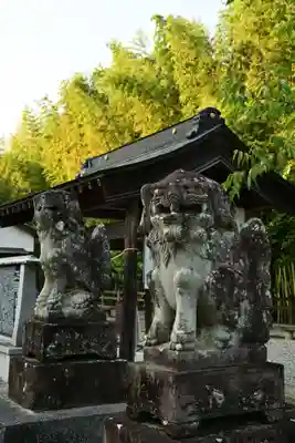 伊射奈美神社(徳島県)