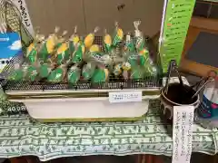 美瑛神社のおみくじ