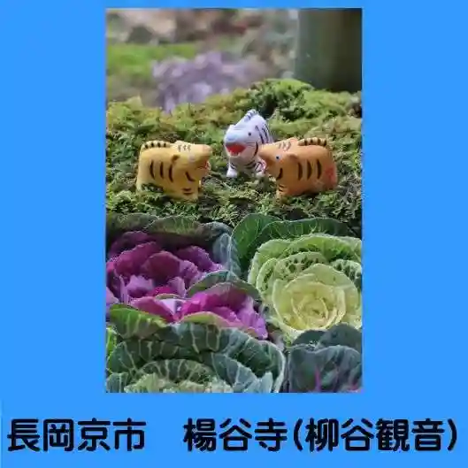 柳谷観音 楊谷寺(京都府)