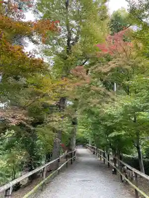 北野天満宮(京都府)