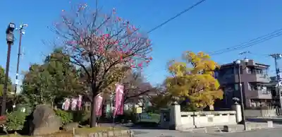 南藏院(東京都)