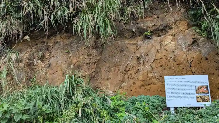 江島神社の自然