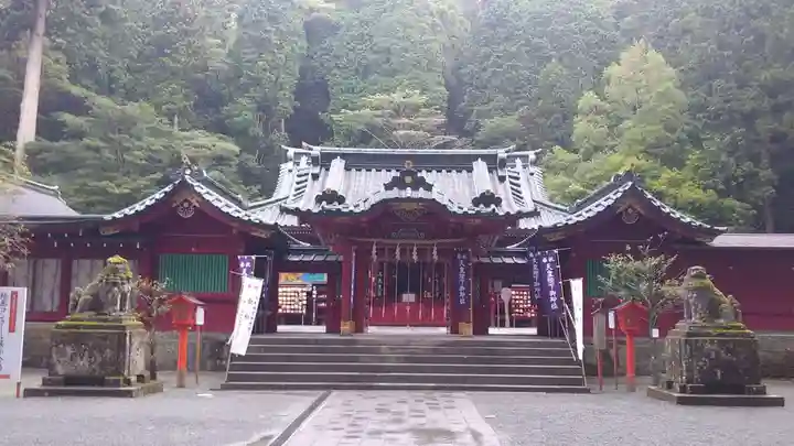 箱根神社の本殿・本堂
