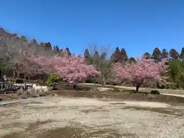 浄泉寺(千葉県)