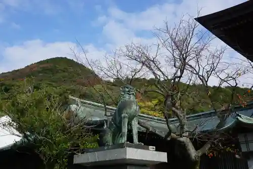 宮地嶽神社の狛犬