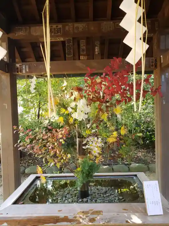 赤坂氷川神社(東京都)