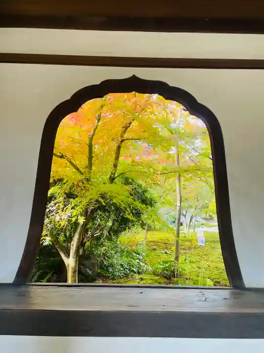 興聖寺(京都府)