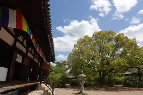 海龍王寺(奈良県)
