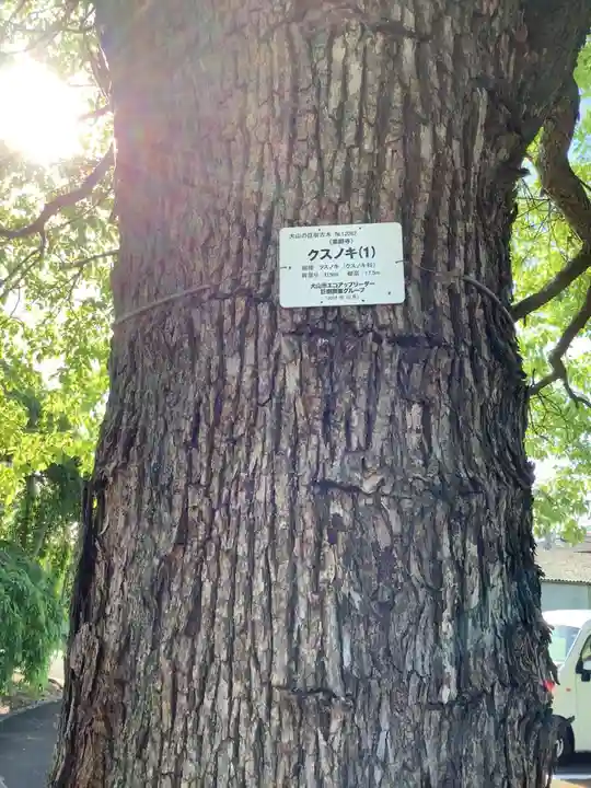 青海山 薬師寺の自然