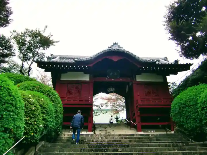 護国寺(東京都)