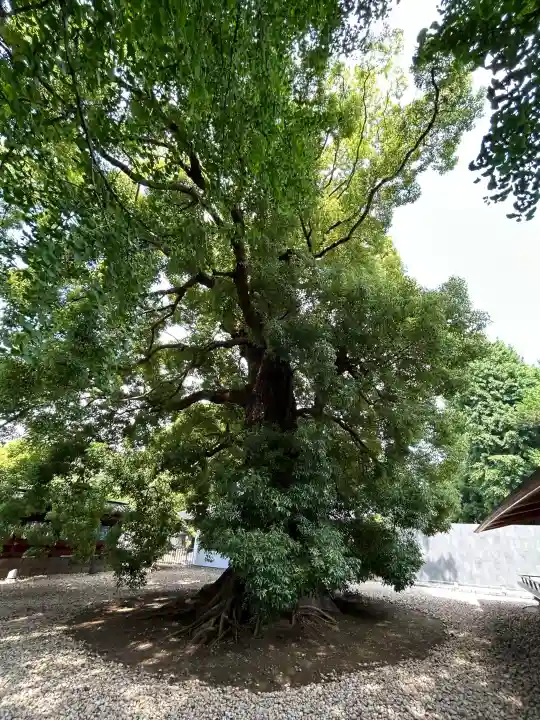 上野東照宮の{uncategorized: "未分類", other: "その他", undefined: "問題あり", building: "その他建物", grave: "お墓", sacred_gate: "鳥居", guardian: "狛犬", statue: "像", buddha: "仏像", history: "歴史", nature: "自然", garden: "庭園", animal: "動物", pagoda: "塔", temizu: "手水舎", mountain_gate: "山門・神門", sanctuary: "本殿・本堂", subordinate: "末社・摂社", art: "芸術", scenery: "景色", jizo: "地蔵", ema: "絵馬", goshuin: "御朱印", omikuji: "おみくじ", items: "授与品その他", amulet: "お守り", goshuincho: "御朱印帳", eats: "食事", festival: "お祭り", votive_dance: "神楽", shichigosan: "七五三参", wedding: "結婚式", experience: "体験その他", initially: "初詣", around: "周辺", anti_infection: "感染症対策"}