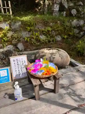 正寿院(京都府)