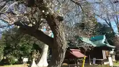 酒門神社の自然