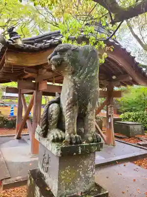 鏡神社の狛犬