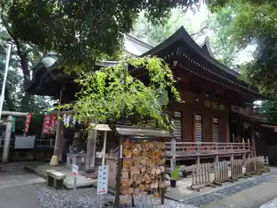 座間神社の本殿・本堂