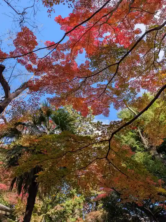 大正寺(東京都)