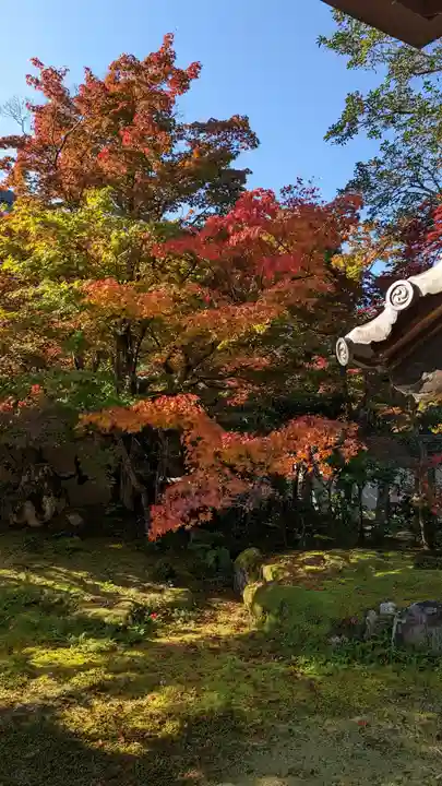 清凉寺(京都府)