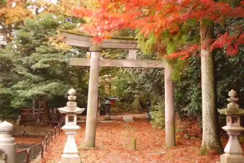天津神社(新潟県)