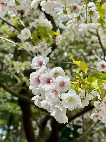 伊佐須美神社の{uncategorized: "未分類", other: "その他", undefined: "問題あり", building: "その他建物", grave: "お墓", sacred_gate: "鳥居", guardian: "狛犬", statue: "像", buddha: "仏像", history: "歴史", nature: "自然", garden: "庭園", animal: "動物", pagoda: "塔", temizu: "手水舎", mountain_gate: "山門・神門", sanctuary: "本殿・本堂", subordinate: "末社・摂社", art: "芸術", scenery: "景色", jizo: "地蔵", ema: "絵馬", goshuin: "御朱印", omikuji: "おみくじ", items: "授与品その他", amulet: "お守り", goshuincho: "御朱印帳", eats: "食事", festival: "お祭り", votive_dance: "神楽", shichigosan: "七五三参", wedding: "結婚式", experience: "体験その他", initially: "初詣", around: "周辺", anti_infection: "感染症対策"}