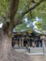 穴八幡宮(東京都)