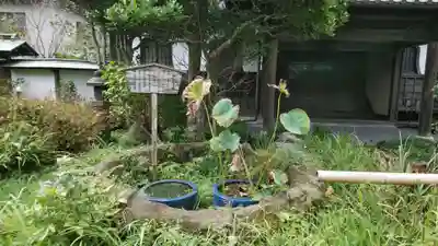 極楽寺（霊鷲山感應院極楽律寺）のその他建物