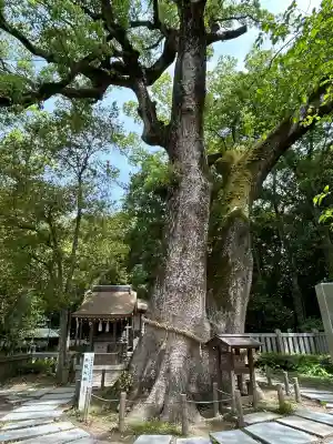 伊弉諾神宮の{uncategorized: "未分類", other: "その他", undefined: "問題あり", building: "その他建物", grave: "お墓", sacred_gate: "鳥居", guardian: "狛犬", statue: "像", buddha: "仏像", history: "歴史", nature: "自然", garden: "庭園", animal: "動物", pagoda: "塔", temizu: "手水舎", mountain_gate: "山門・神門", sanctuary: "本殿・本堂", subordinate: "末社・摂社", art: "芸術", scenery: "景色", jizo: "地蔵", ema: "絵馬", goshuin: "御朱印", omikuji: "おみくじ", items: "授与品その他", amulet: "お守り", goshuincho: "御朱印帳", eats: "食事", festival: "お祭り", votive_dance: "神楽", shichigosan: "七五三参", wedding: "結婚式", experience: "体験その他", initially: "初詣", around: "周辺", anti_infection: "感染症対策"}